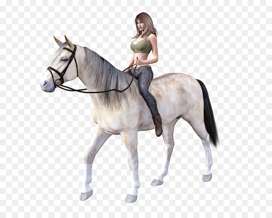 Caballo，Brida PNG