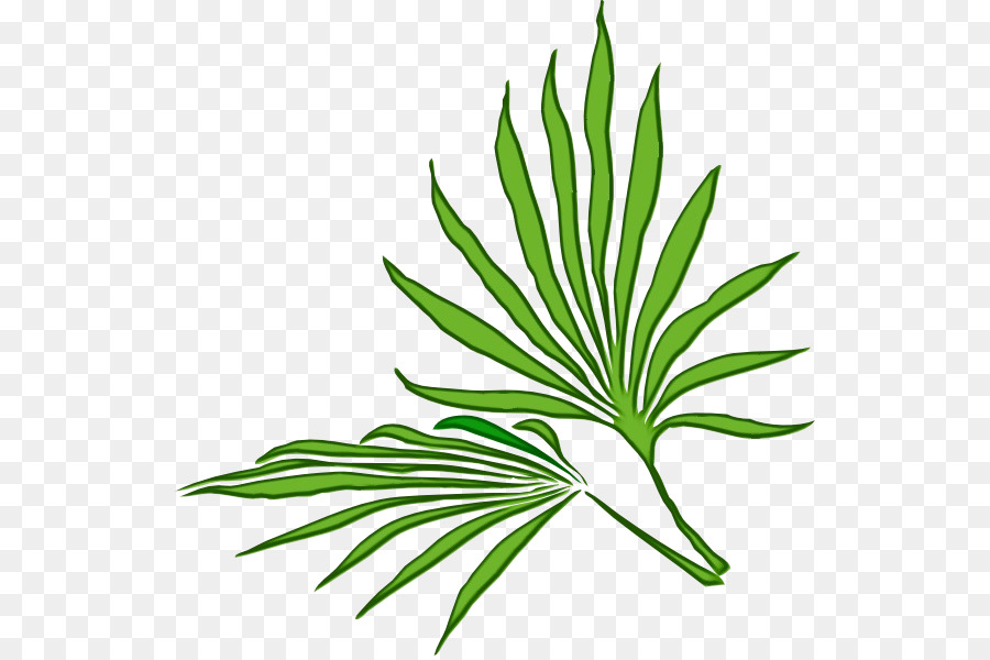 Hoja，Verde PNG