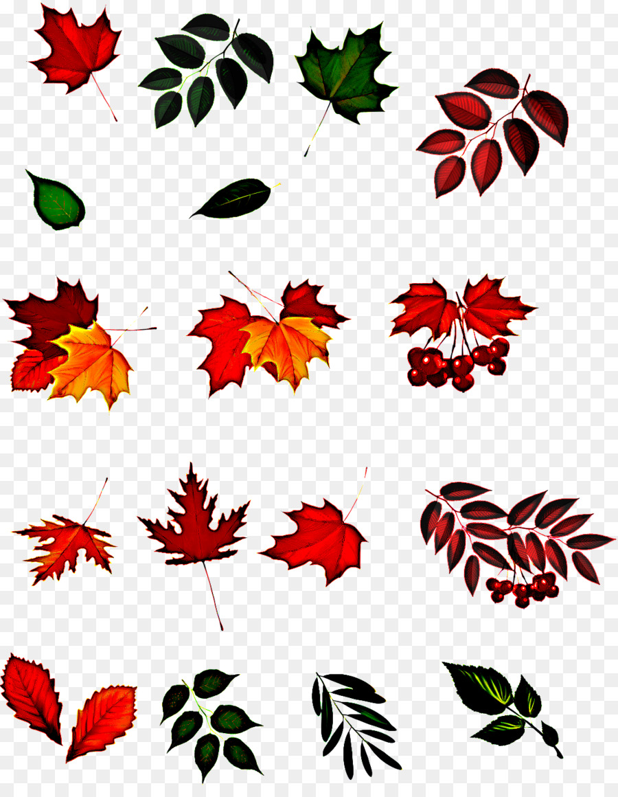 Hojas De Otoño，Caer PNG