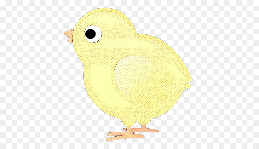 Amarillo，Aves PNG