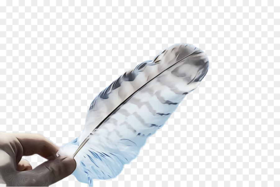 Pluma，De La Mano PNG