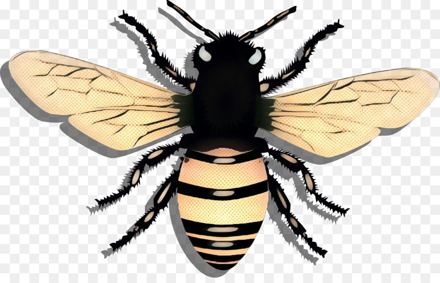 Abeja，Alas PNG