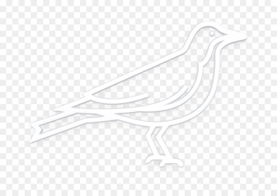 Pico，Aves PNG