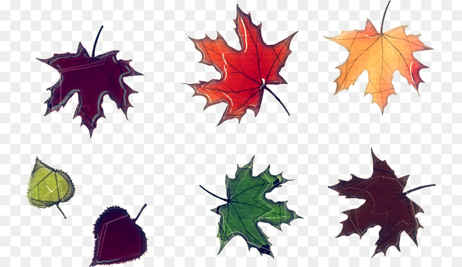 Hojas De Otoño，Caer PNG