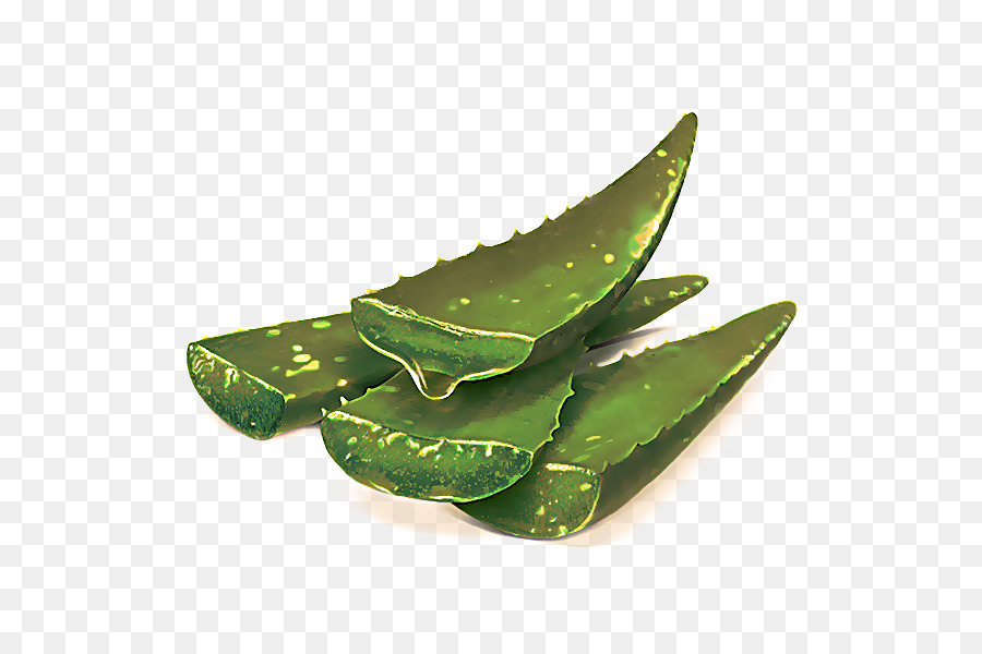 Hoja，Planta PNG