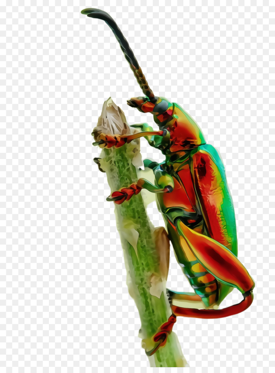 Los Insectos，Planta PNG