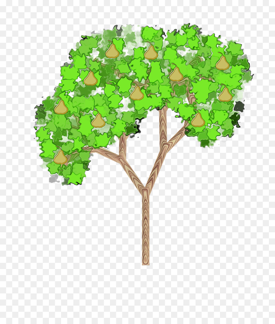 Planta，Árbol PNG