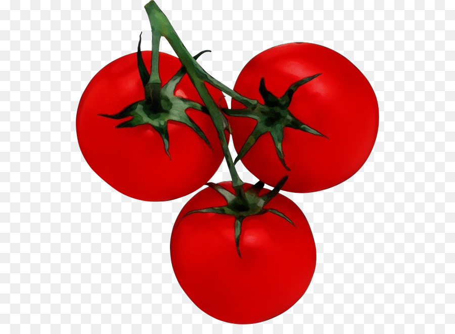 Tomates Rojos，Hojas Verdes PNG