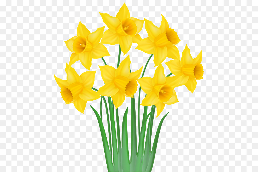 Narcisos，Amarillo PNG