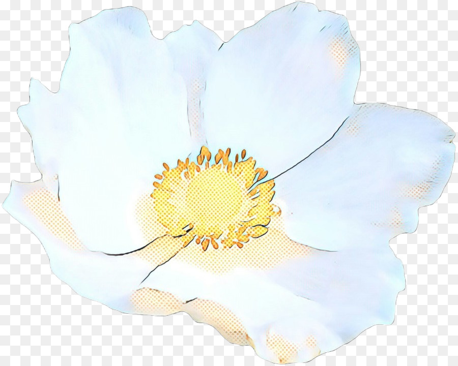 Flor Blanca，Pétalos PNG