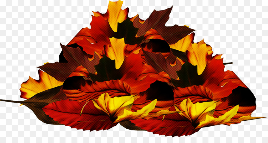 Hoja，Rojo PNG