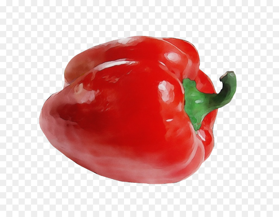 Pimiento，Los Pimientos Y Los Chiles PNG