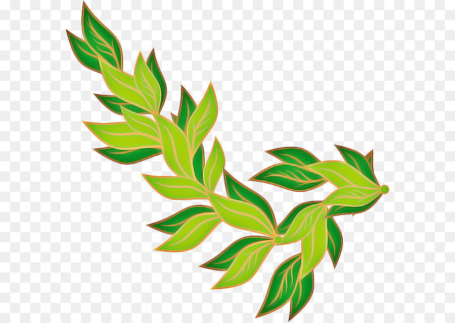 Hoja，Planta PNG