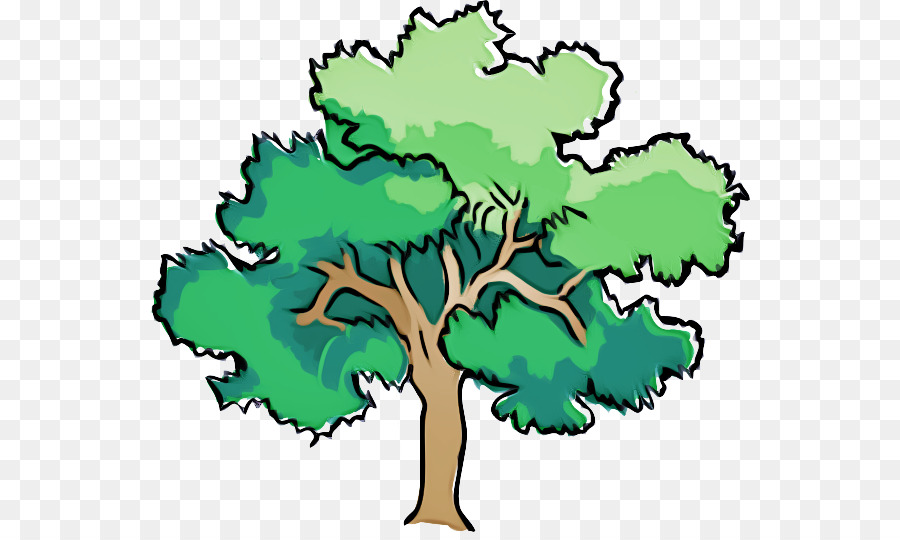 Árbol，Hojas PNG