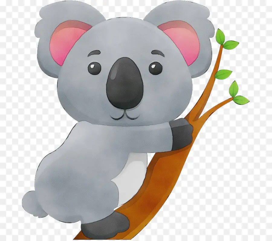 Koala En árbol，Coala PNG