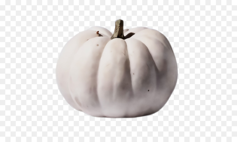 Calabaza，Cucurbita PNG