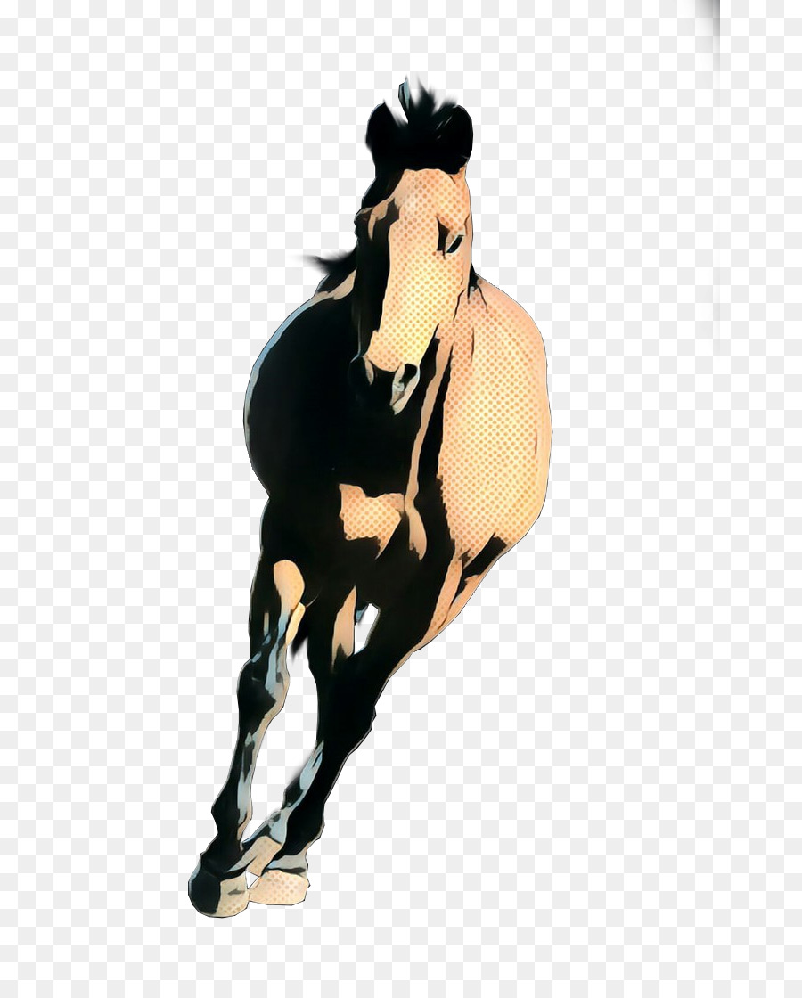 Caballo，Mustang Caballo PNG