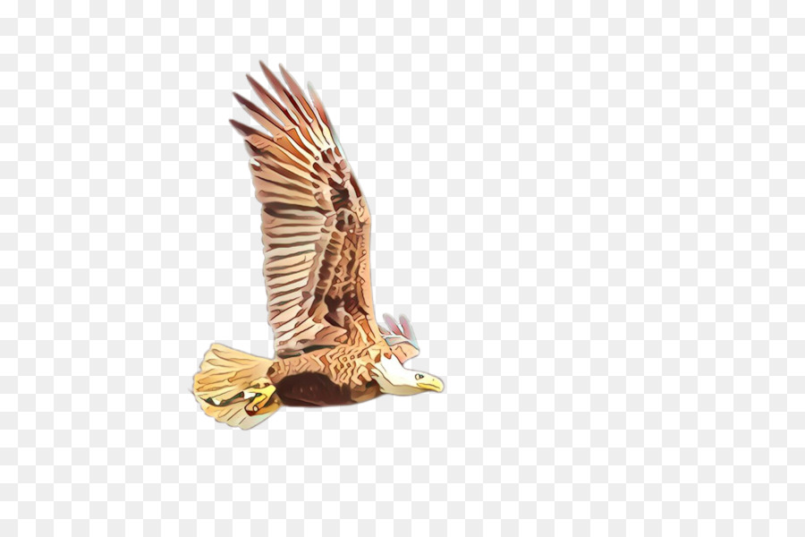 águila，Águila Dorada PNG