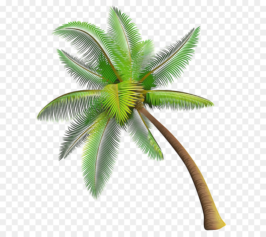 Hoja，Árbol PNG