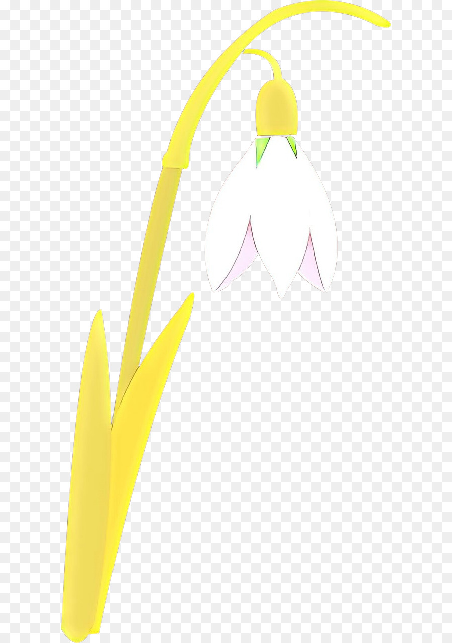 Amarillo，Planta PNG