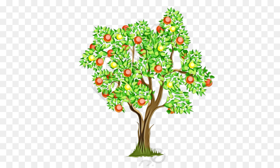 árbol De Dibujos Animados，Manzanas PNG