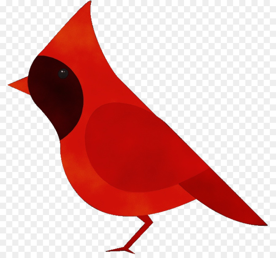 Aves，Rojo PNG