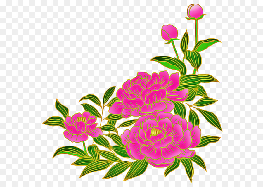 Flor，Rosa PNG