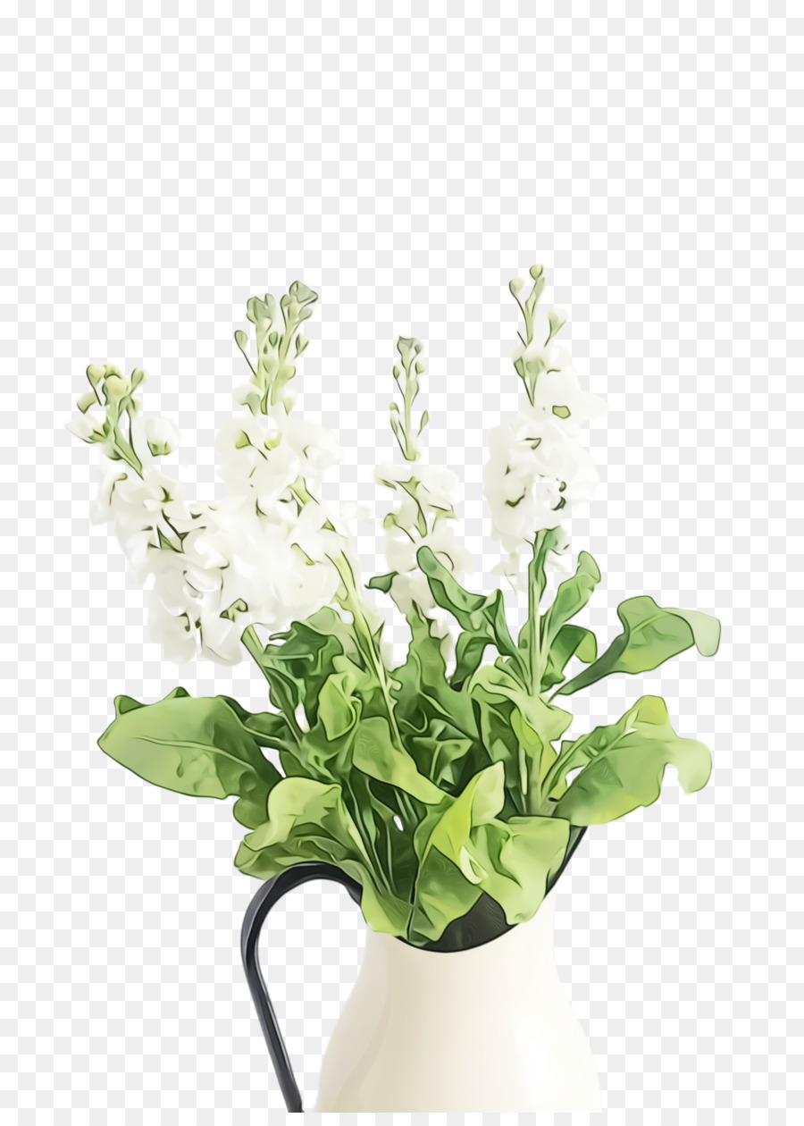 Flor，Planta PNG