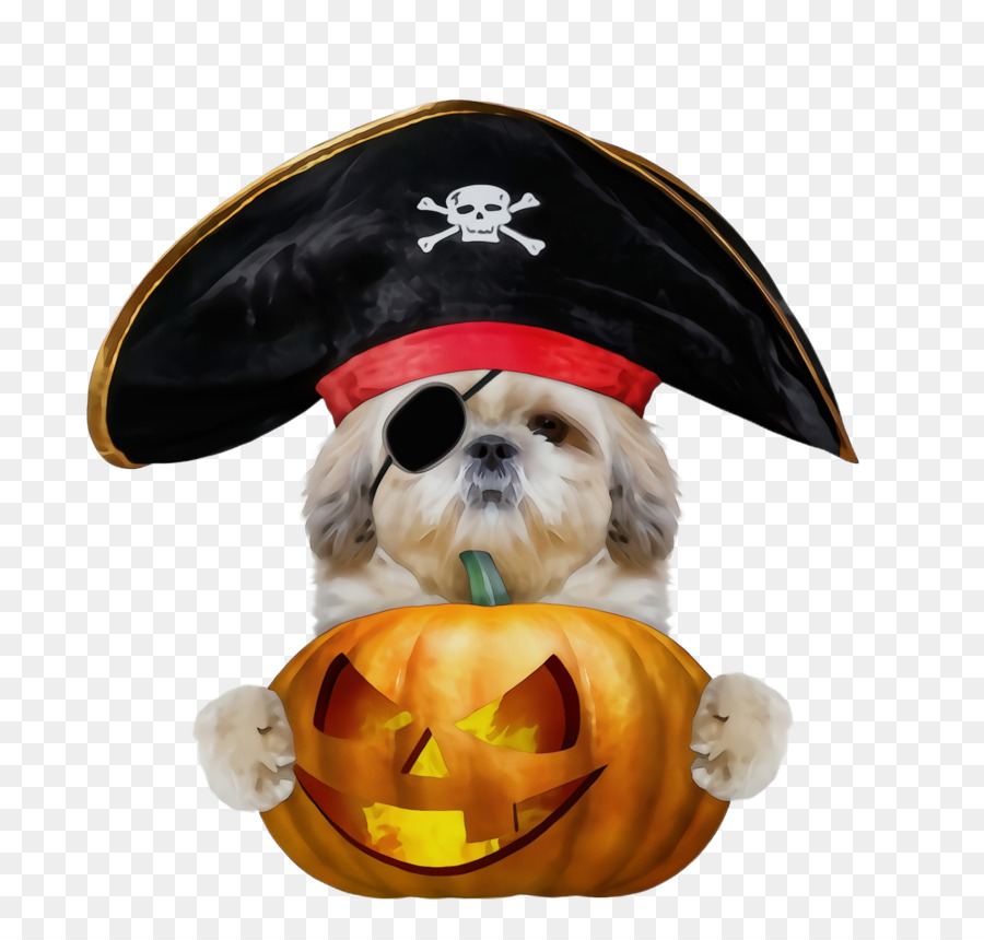 Perro，Shih Tzu PNG