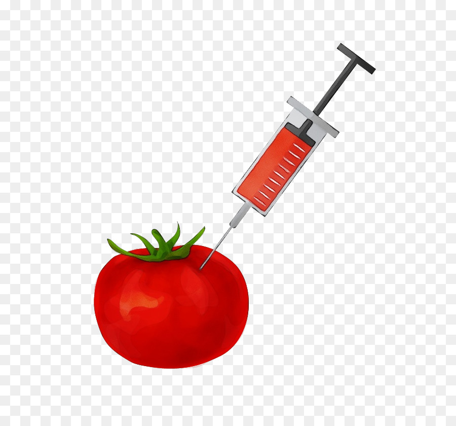 Solanum，Rojo PNG