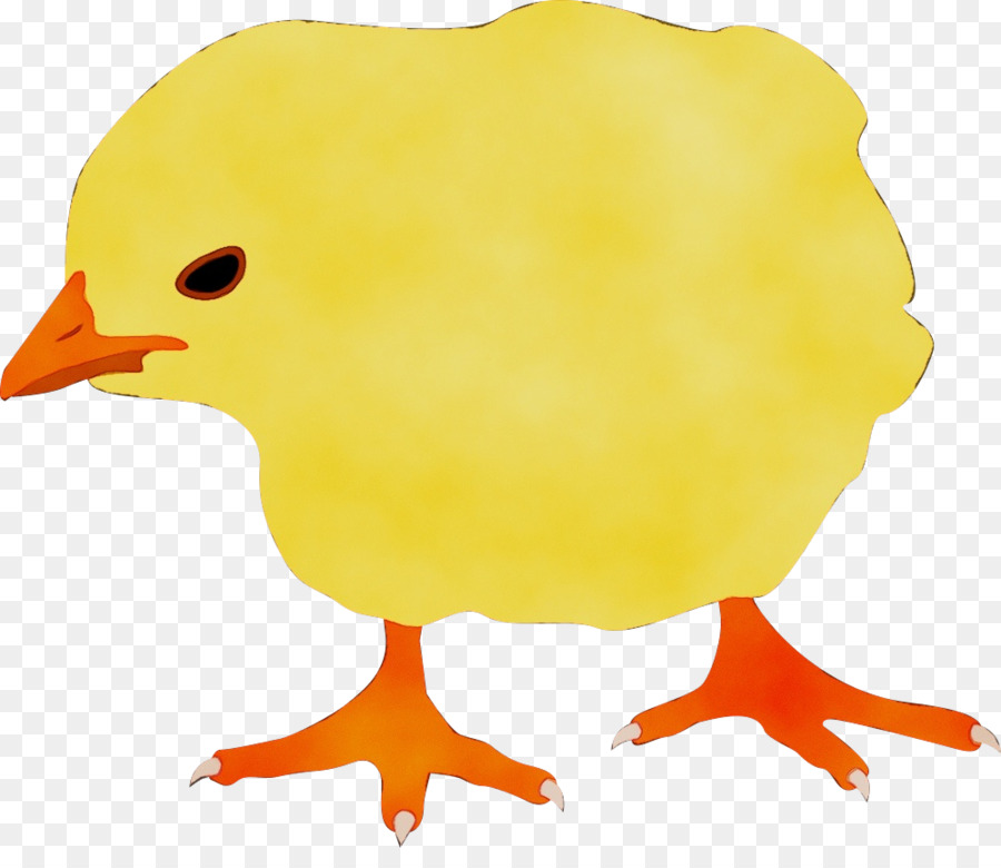 Pato Amarillo，Dibujos Animados PNG