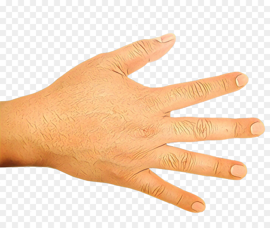 Mano，Dedos PNG