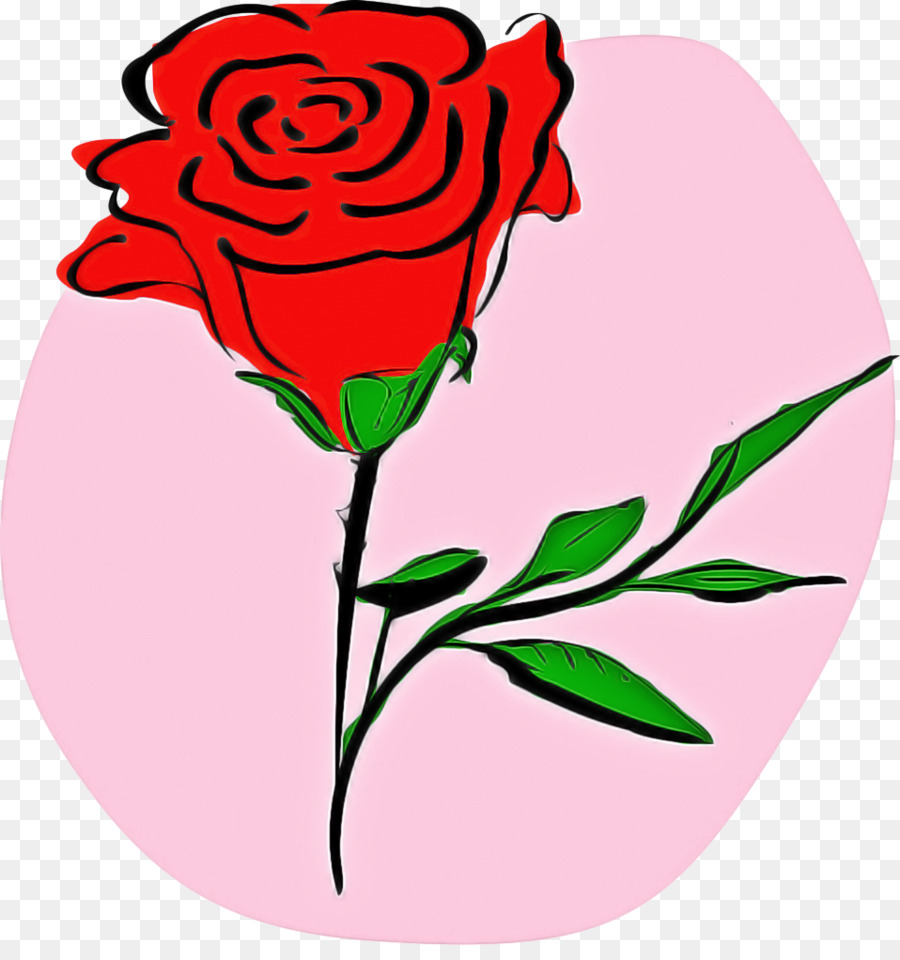 Rosa，Rojo PNG