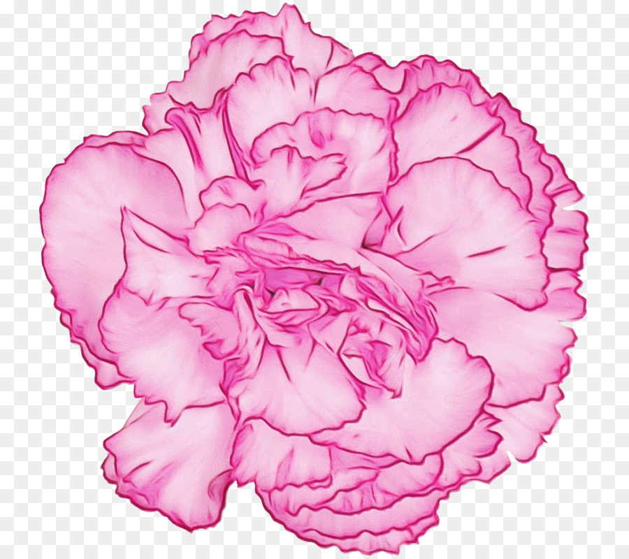 Rosa，Pétalo PNG