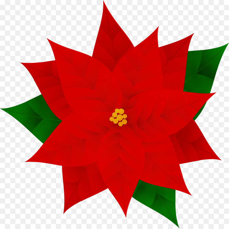 Flor De Pascua，Rojo PNG