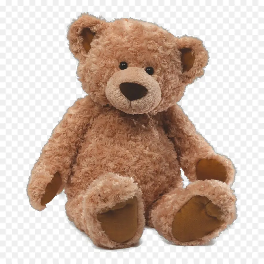 Peluche，Oso De Peluche PNG