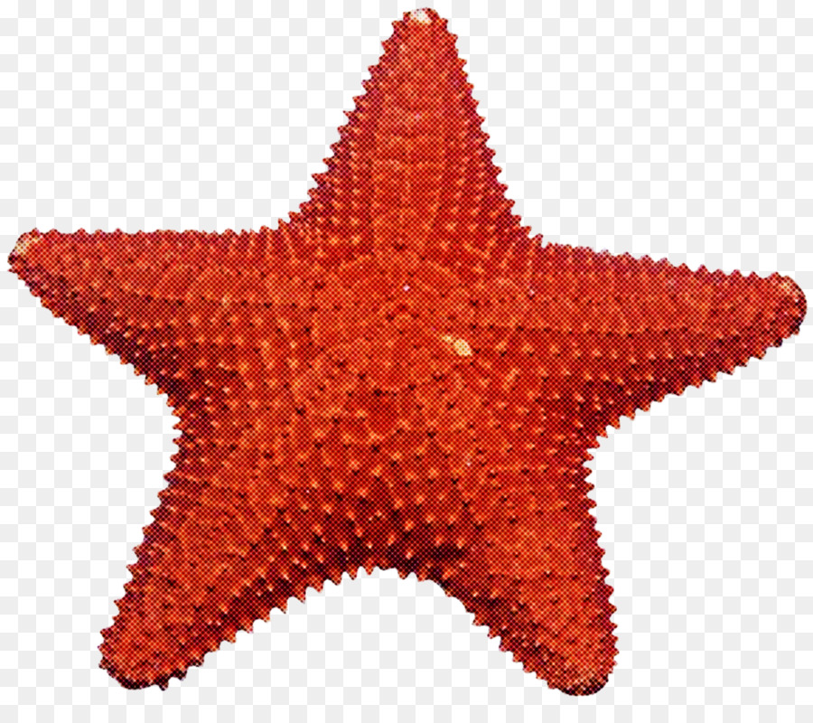 Estrella De Mar，Invertebrados Marinos PNG