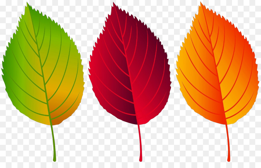 Hojas De Otoño，Caer PNG