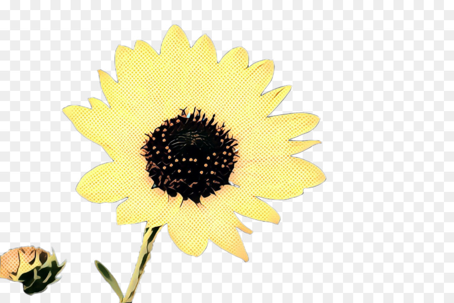 Girasol，Amarillo PNG