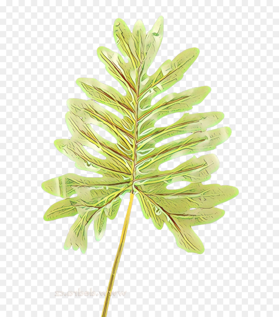 Hoja，Planta PNG