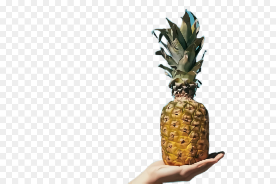 Piña，Ananas PNG