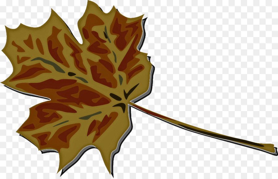 Hoja De Arce，Árbol PNG