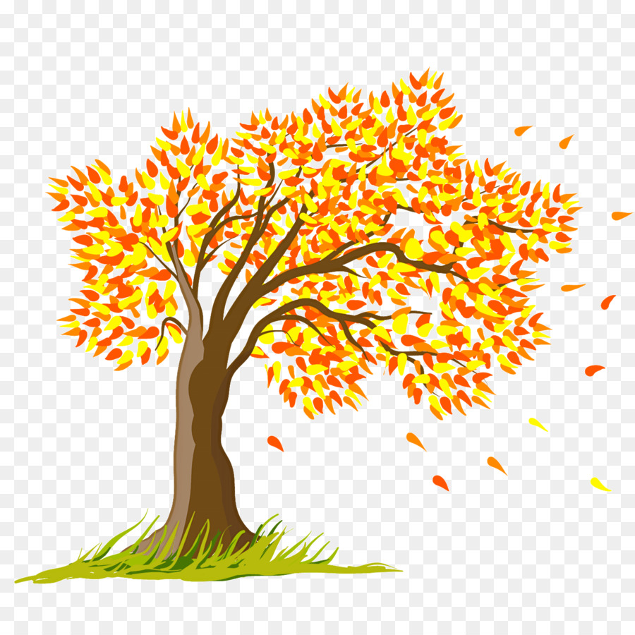 Árbol，Hojas PNG