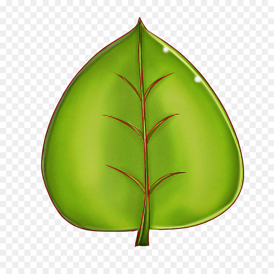 Hoja Verde，Planta PNG