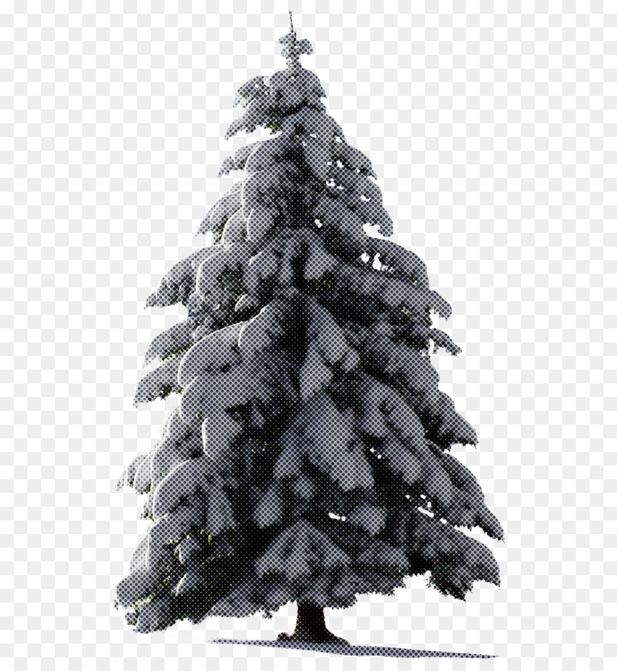 Árbol De Navidad Nevado，Nieve PNG