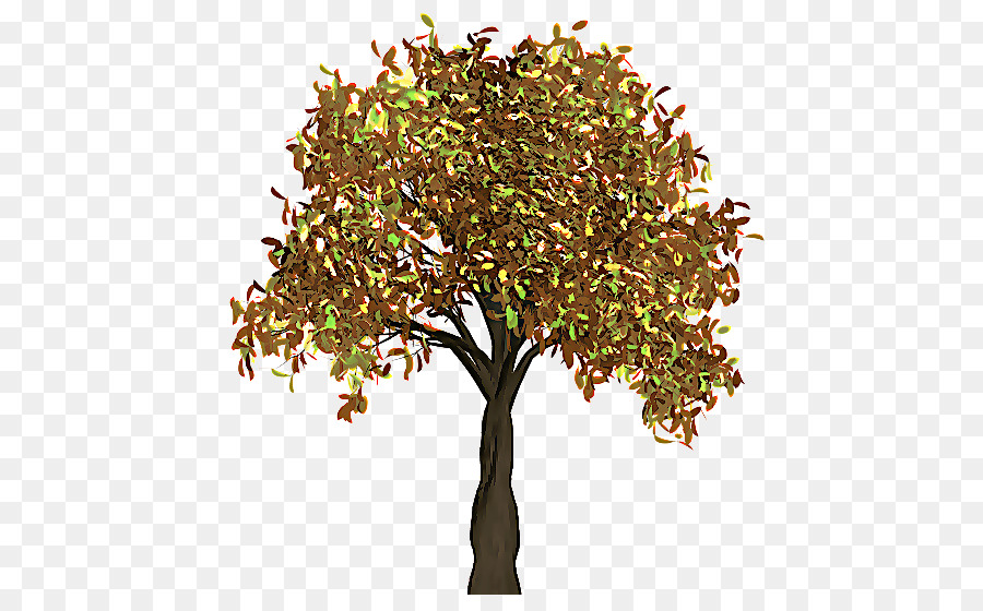 Árbol，Sucursales PNG