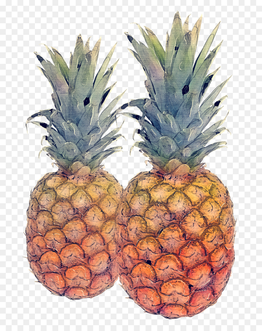 Piña，Ananas PNG