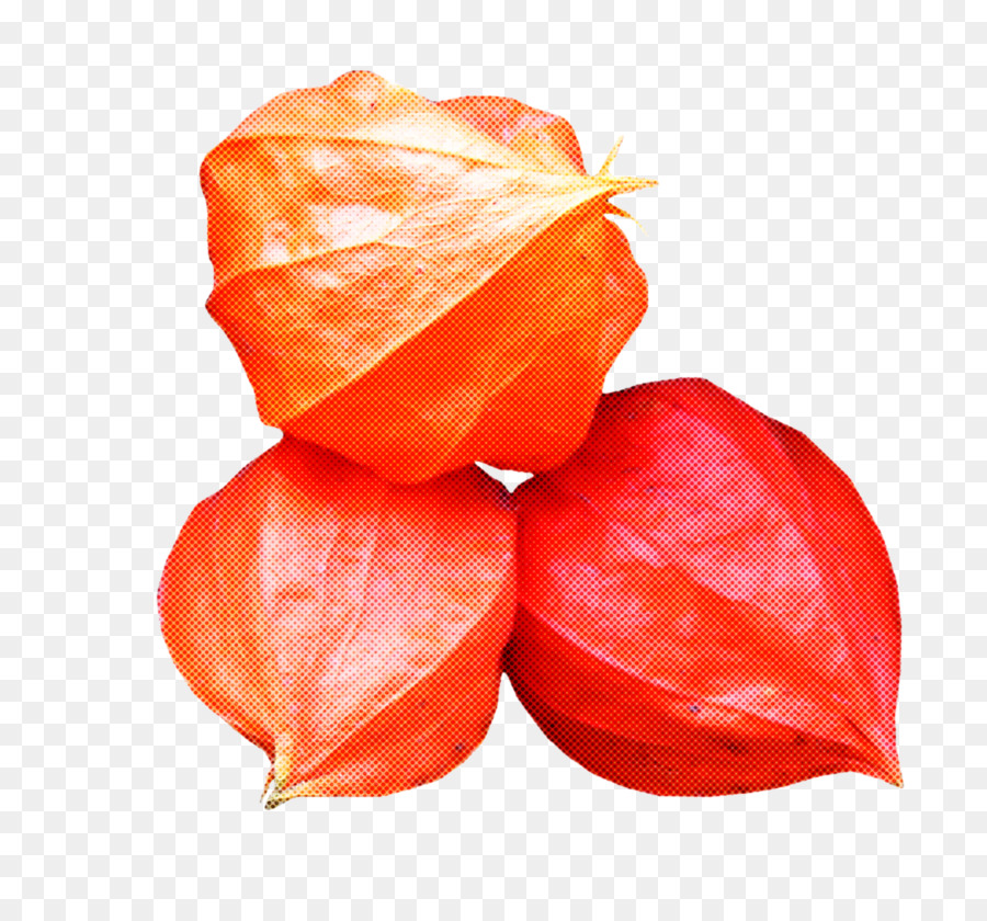 Naranja，Planta PNG