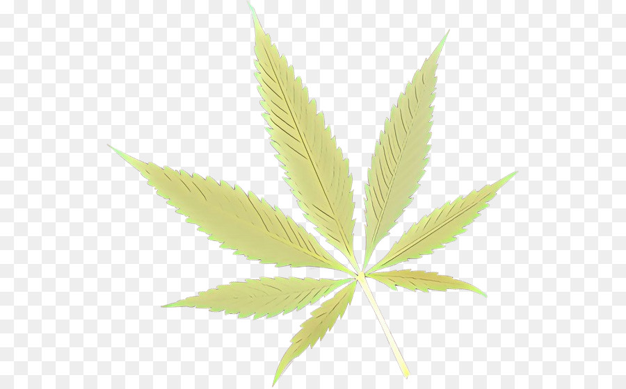 Hoja De Cannabis，Marijuana PNG