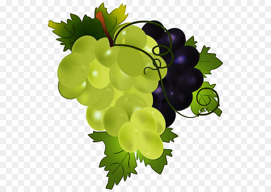 Uvas，Enredadera PNG